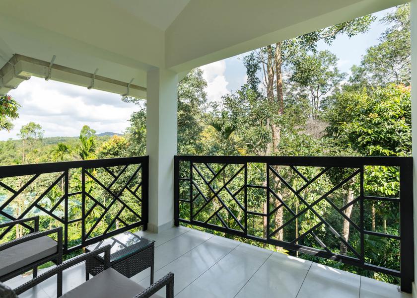 Kerala Wayanad Oak- With forest View