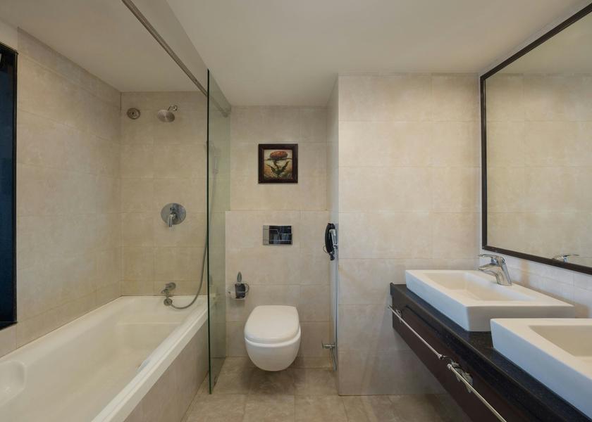 Rajasthan Jodhpur Bathroom - Shower over Tub - Dual Vanity
