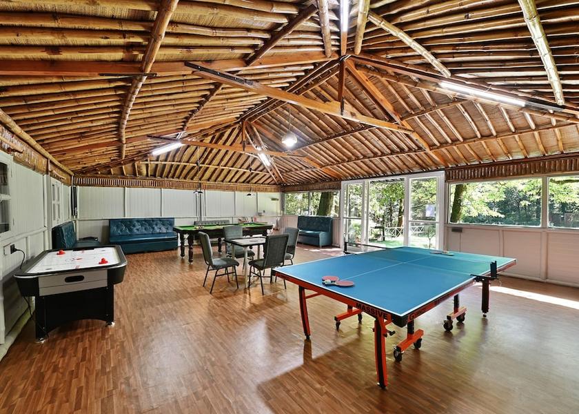 Uttarakhand Nainital Game room