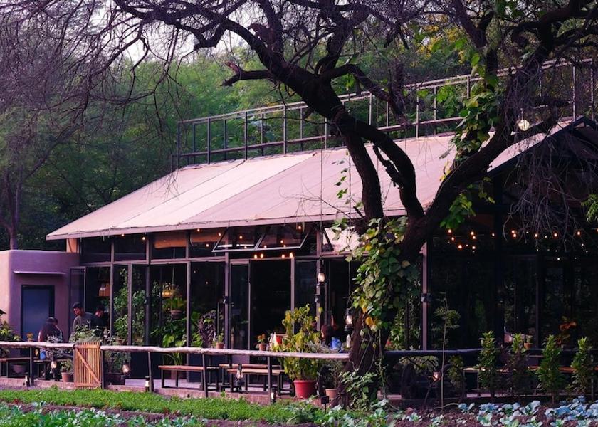 Madhya Pradesh Bhopal Restaurant