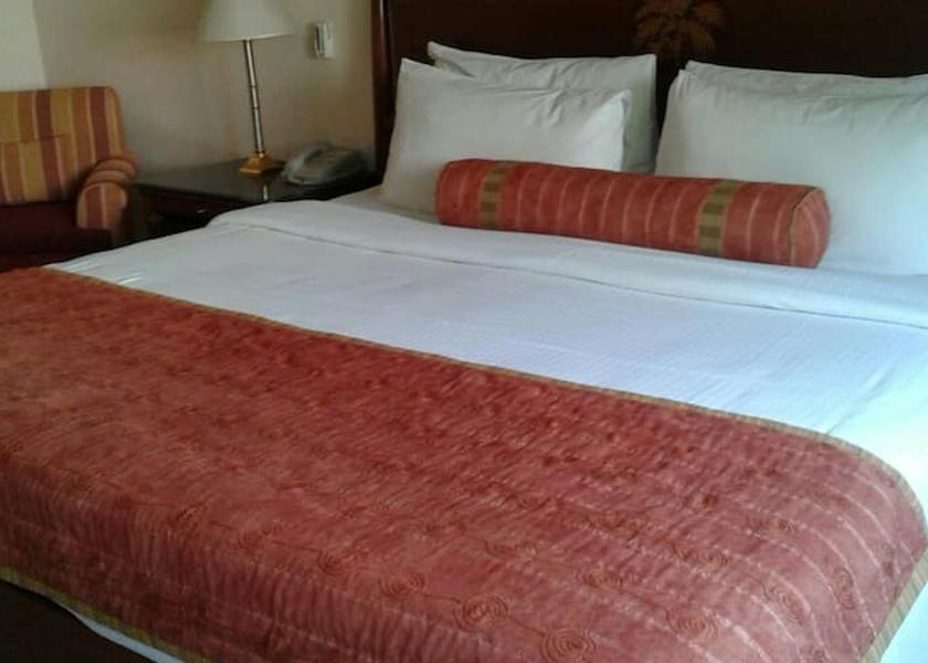 Madhya Pradesh Khajuraho Deluxe Double King Bed Garden View
