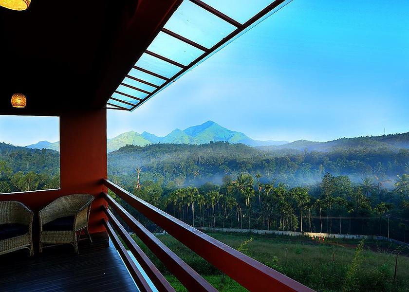 Kerala Wayanad 1025