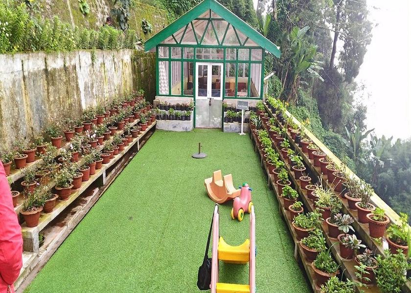 West Bengal Darjeeling Outdoors