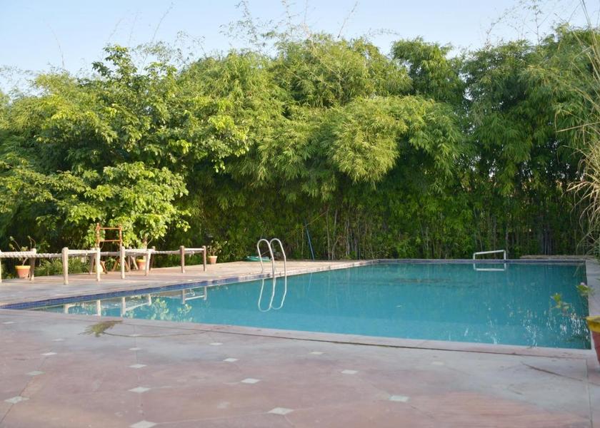 Rajasthan Sawai Madhopur Pool