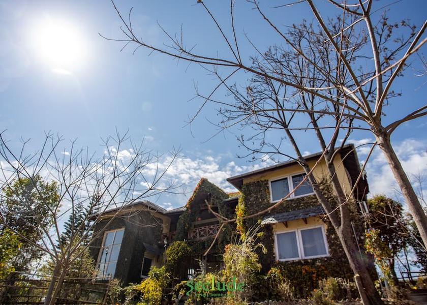 Himachal Pradesh Palampur 
