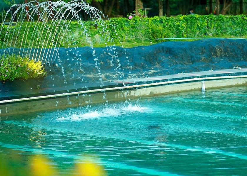 Kerala Wayanad Swimming pool [outdoor]