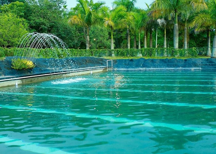 Kerala Wayanad Swimming pool [outdoor]