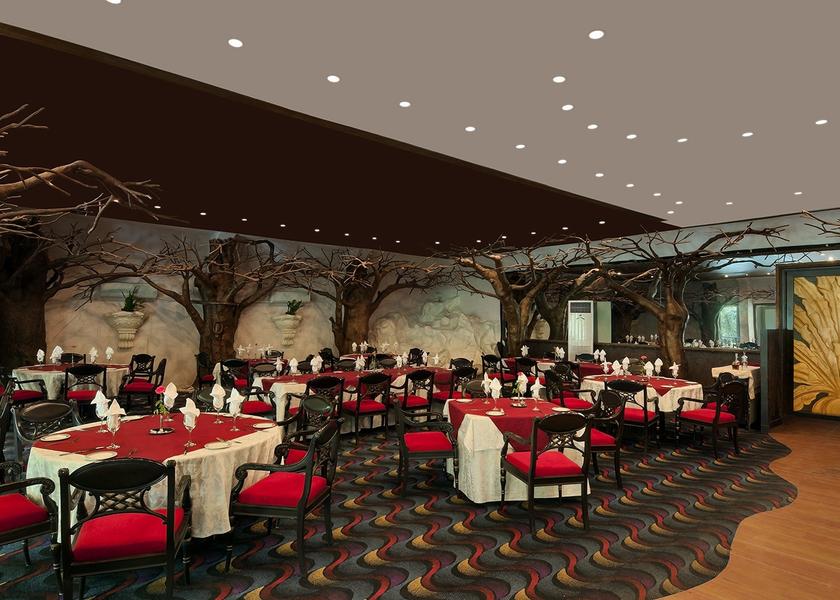 Karnataka Bangalore Food & Dining