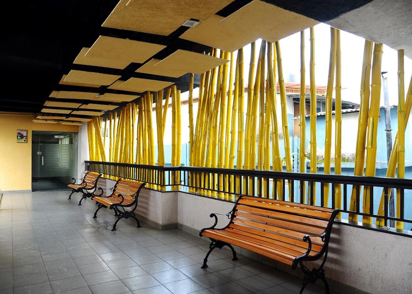 Kerala Wayanad Public Areas