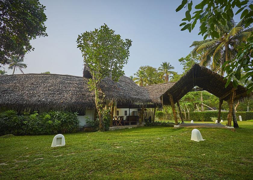 Kerala Mararikulam Outdoors