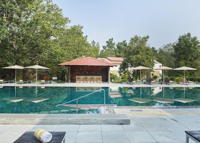 Madhya Pradesh Kanha Pool