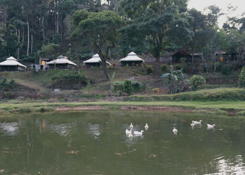 Karnataka Coorg Hotel View