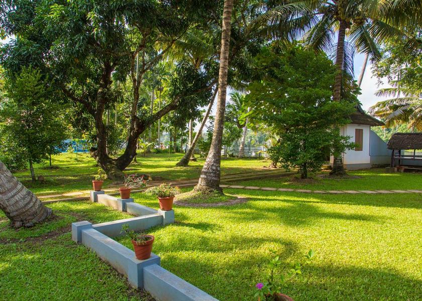 Kerala Alleppey Garden