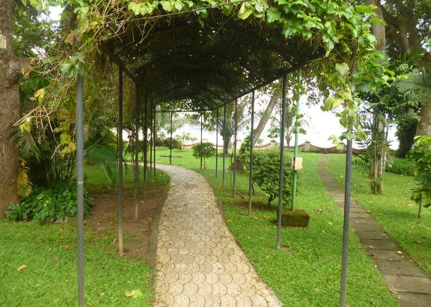 Kerala Alleppey Outdoors