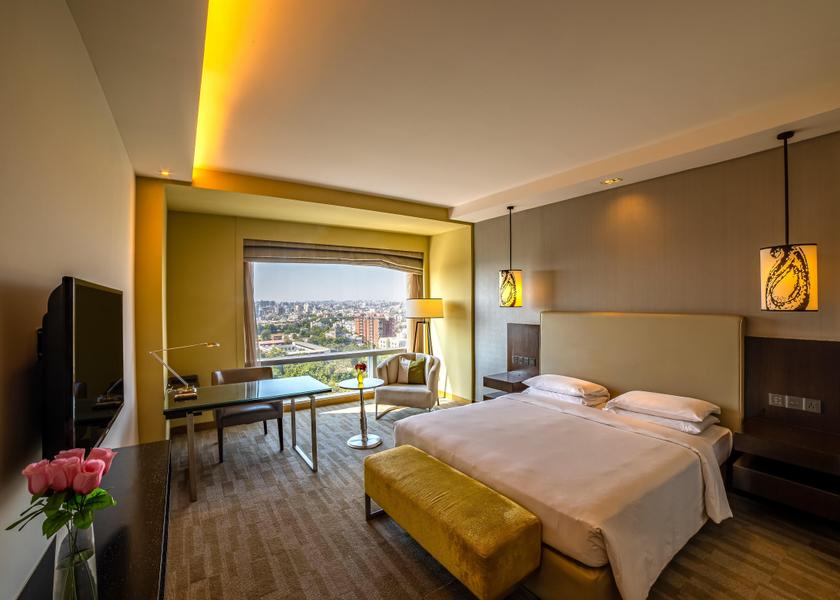 Gujarat Ahmedabad Regency Suite King