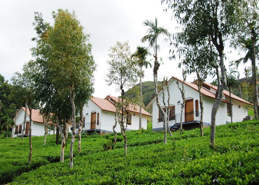Kerala Wayanad Outdoors