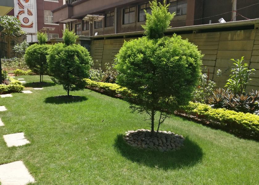 Karnataka Bangalore Outdoors