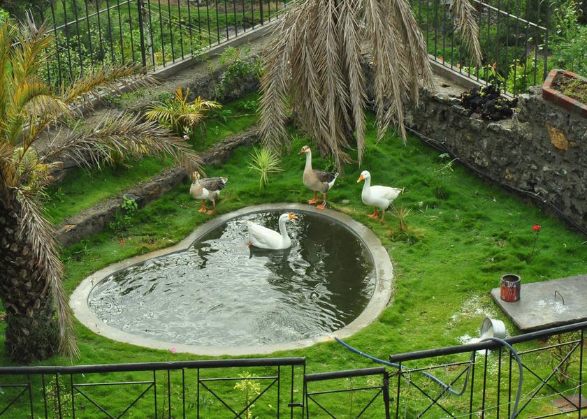 Tamil Nadu Kodaikanal Hotel View