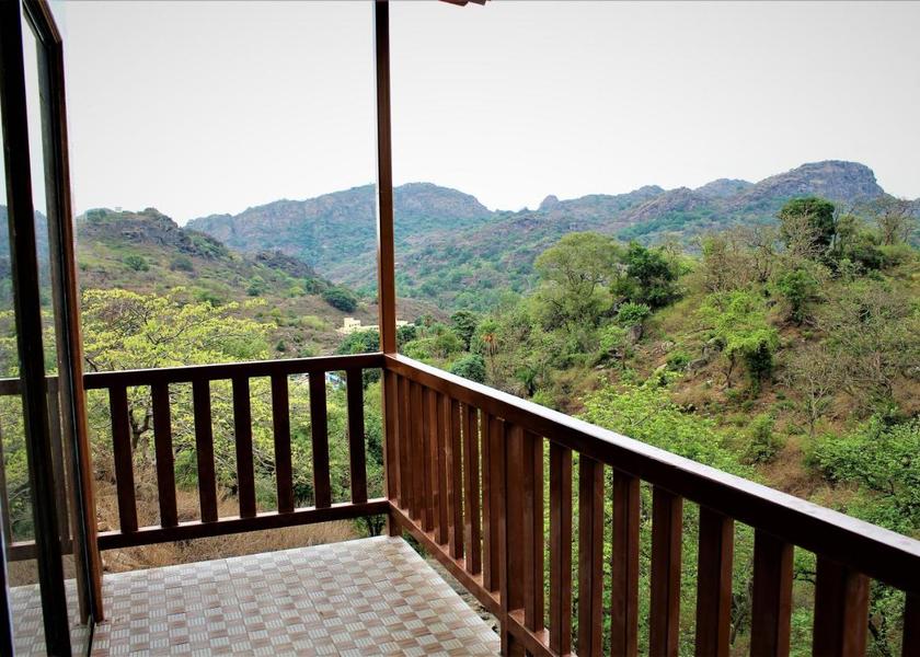 Rajasthan Mount Abu 1025