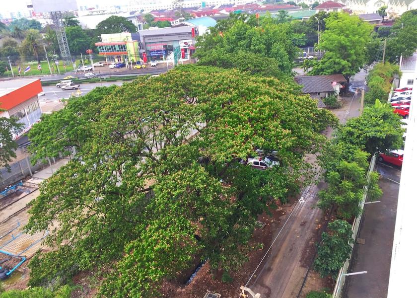 Nonthaburi Province Pak Kret View from property