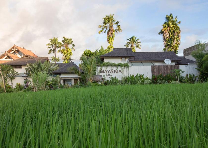 Bali Canggu Hotel Exterior