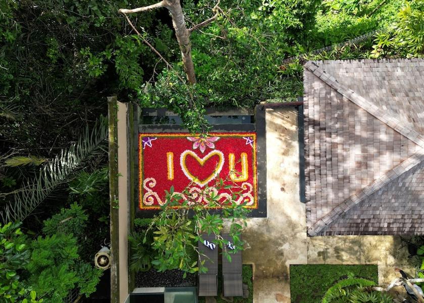 Bali Ubud Aerial View