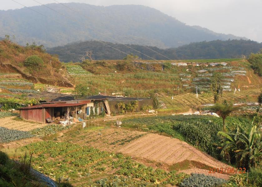 Pahang Brinchang View from Property