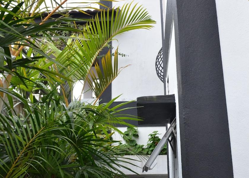 Pahang Tanah Rata Exterior Detail