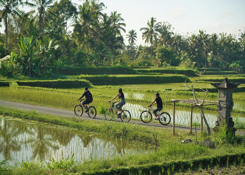Bali Payangan Bicycling