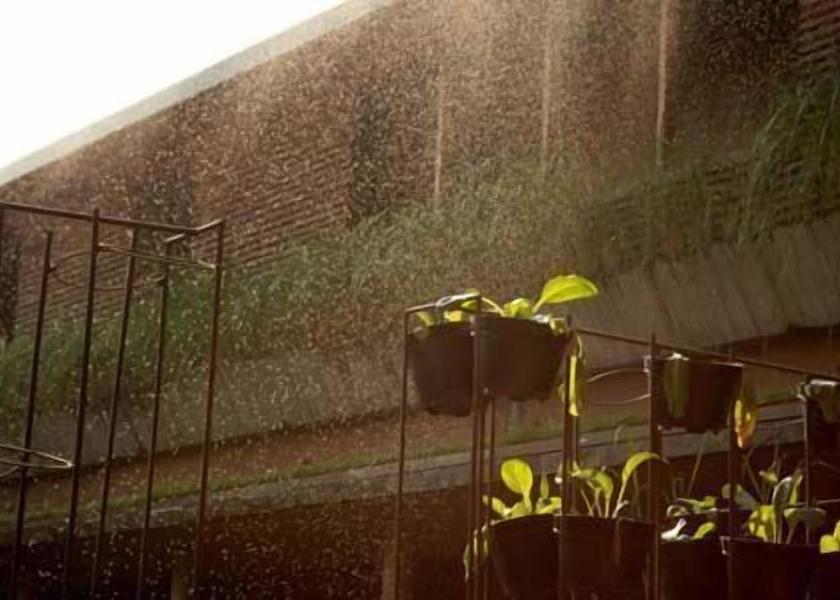 Central Java Solo Exterior Detail