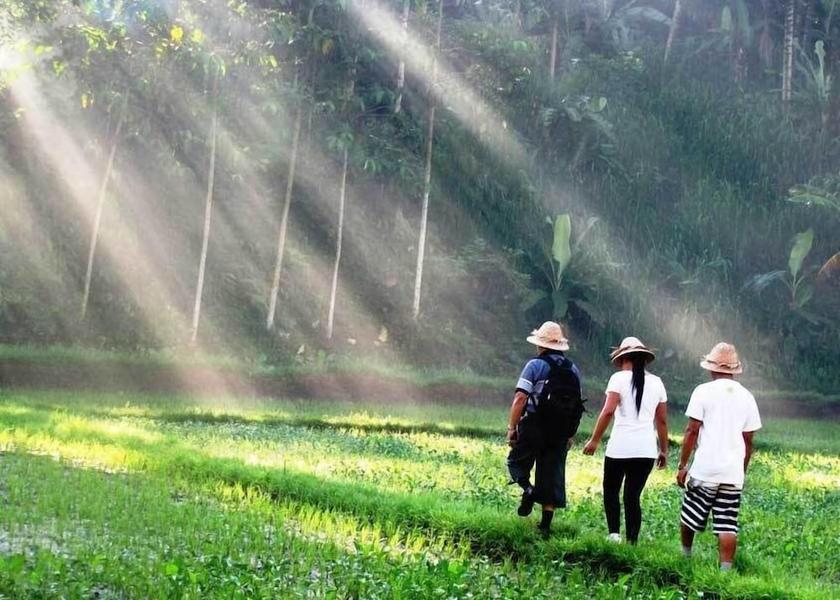 Bali Payangan Hiking