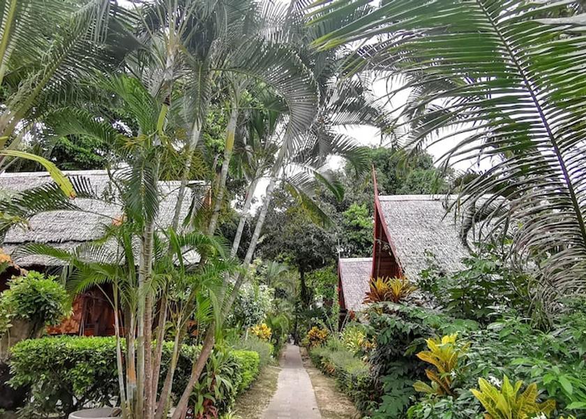 Krabi Province Ko Phi Phi Room