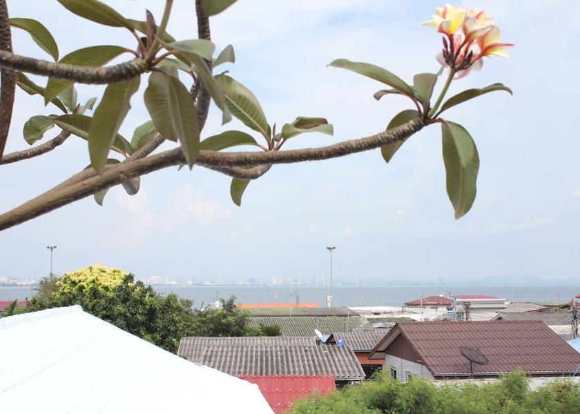 Chonburi Koh Lan Aerial View