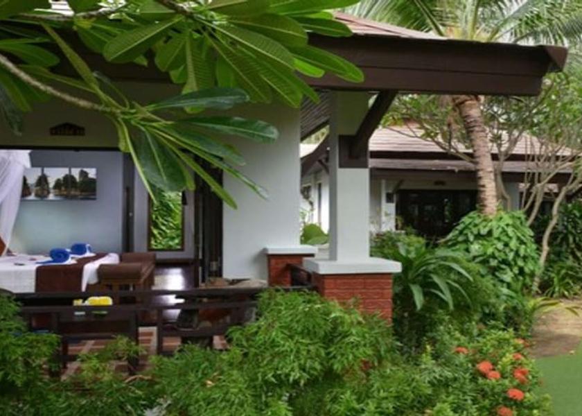 Surat Thani Koh Phangan Room