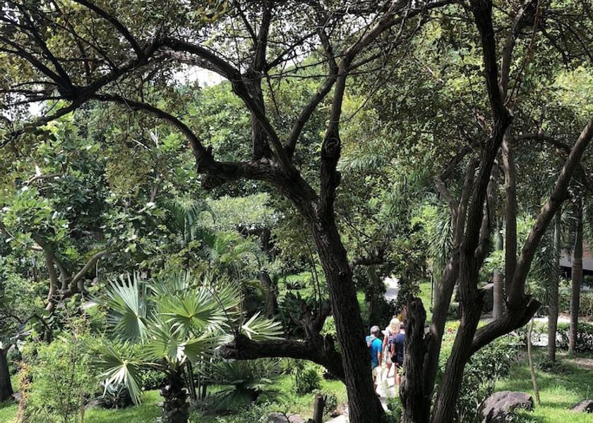 Surat Thani Koh Tao Garden