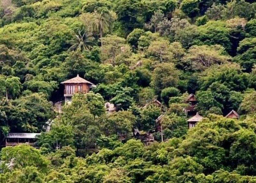 Surat Thani Koh Tao Exterior Detail