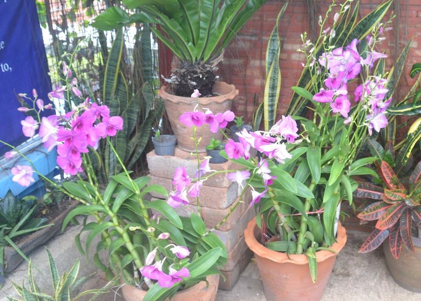 Bangkok Bang Phli Interior Entrance