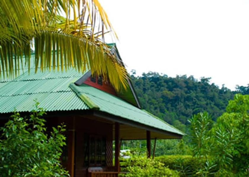 Surat Thani Koh Phangan View From Room
