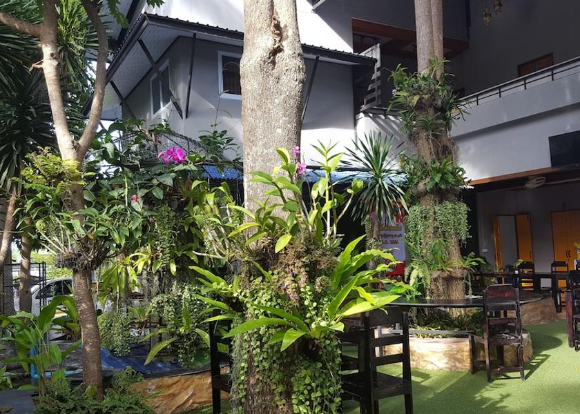 Surat Thani Koh Phangan Garden