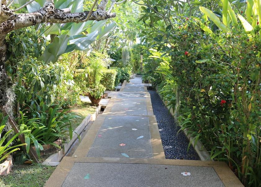 Phuket Chalong View from Property