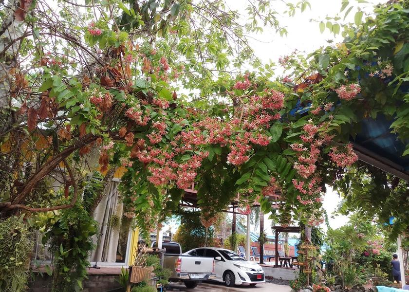 Rayong Province Ban Chang Exterior Detail