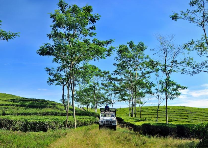 West Java Ciater View from Property