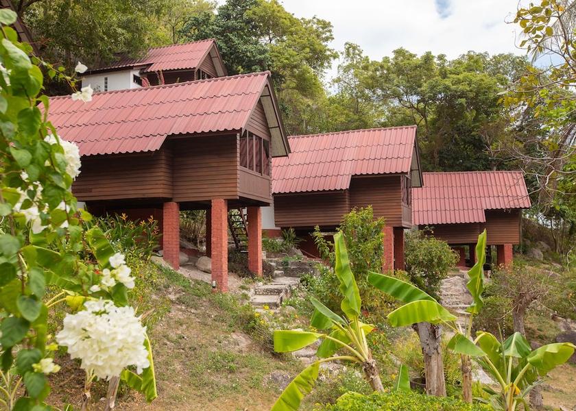 Surat Thani Koh Tao Garden
