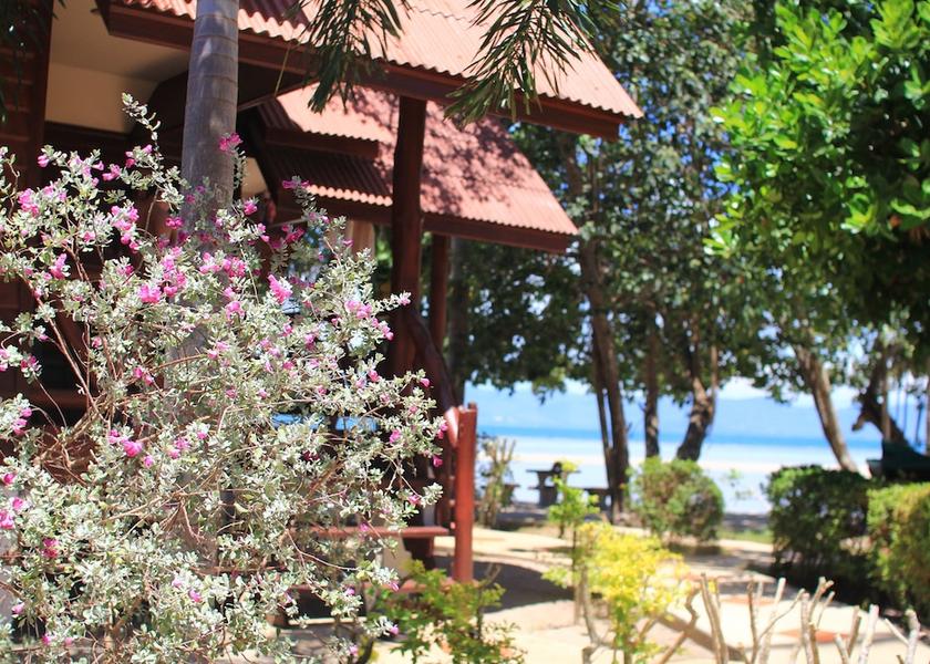 Surat Thani Koh Phangan Property Grounds