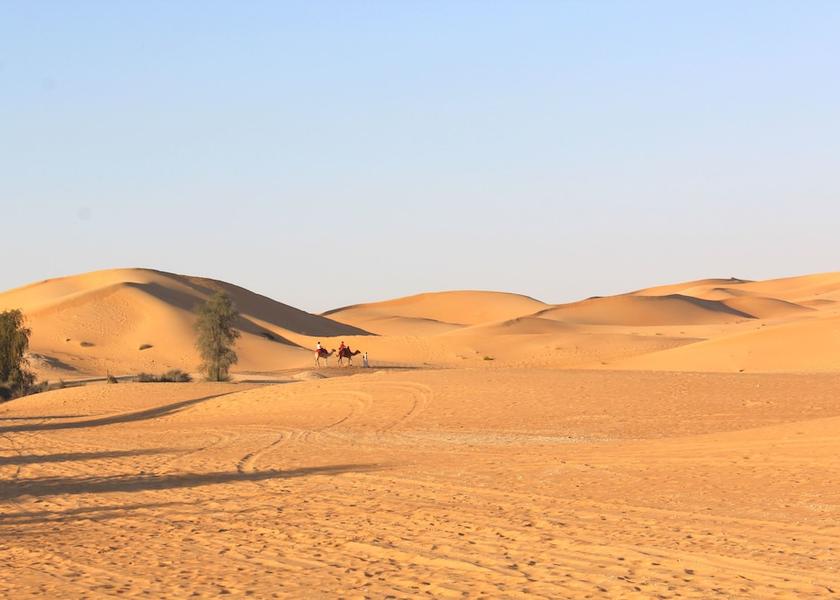Abu Dhabi Remah Exterior Detail