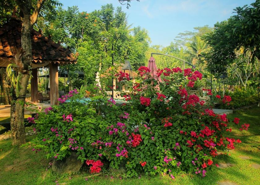 Central Java Mungkid Garden