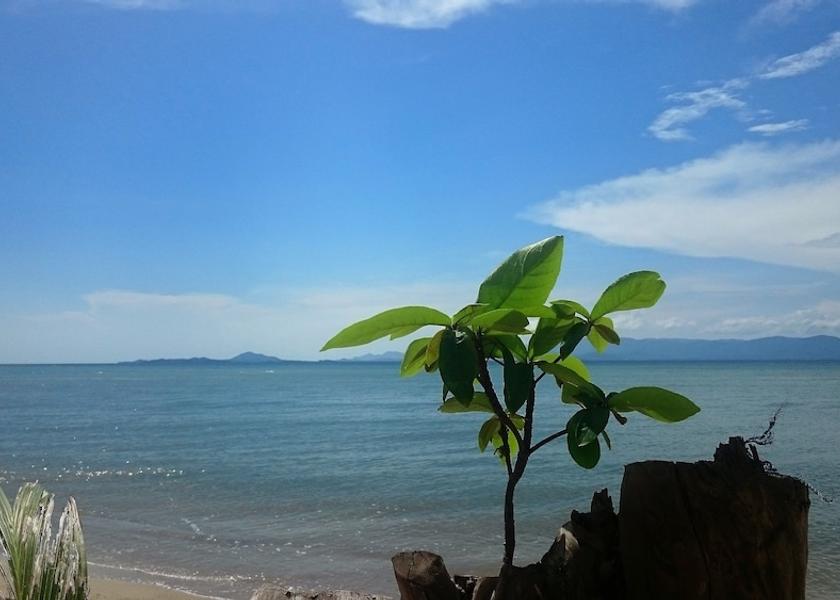 Surat Thani Koh Phangan View from Property