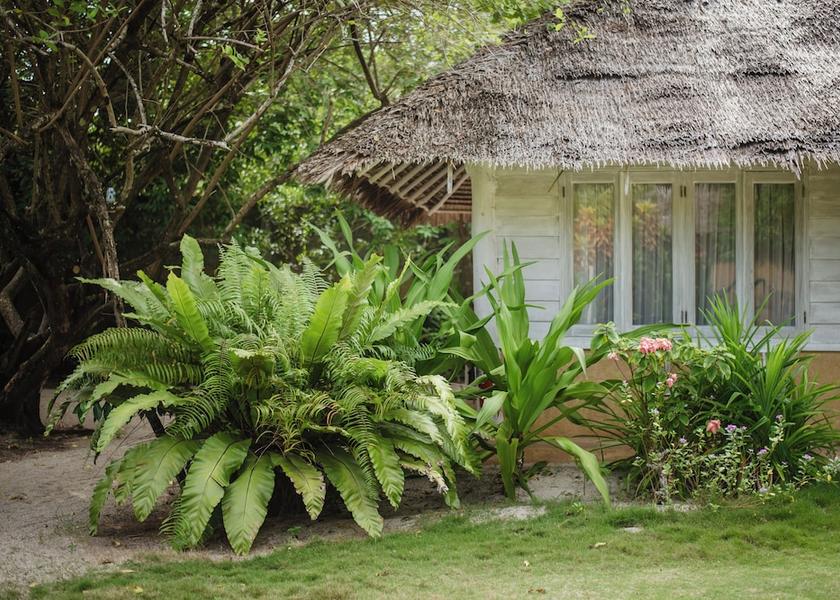 Riau Islands Bintan Exterior