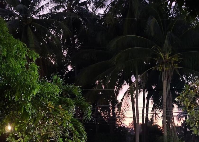 Surat Thani Province Ko Pha-ngan Exterior