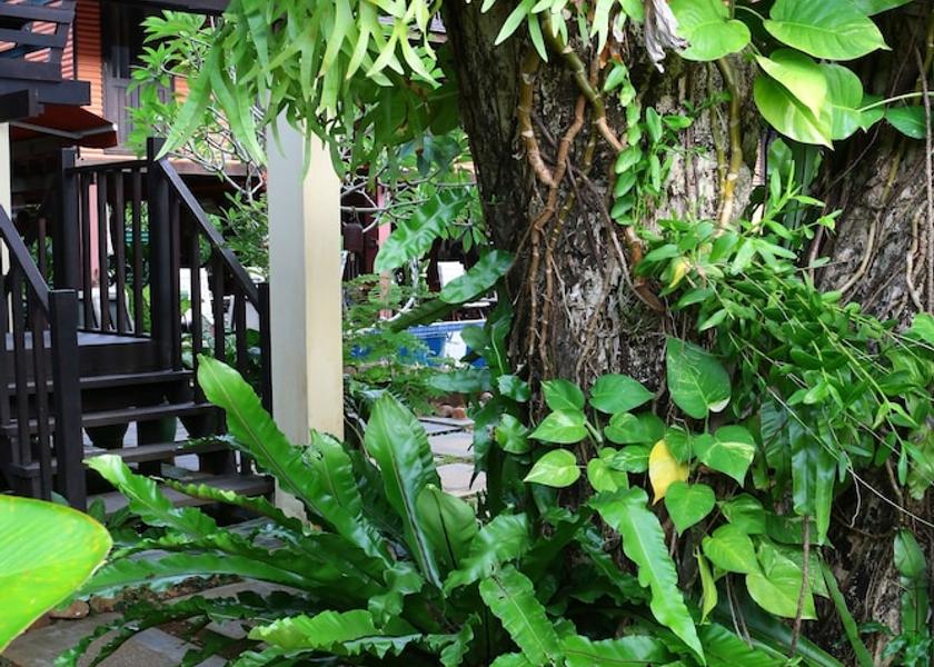 Sarawak Kuching Interior Entrance
